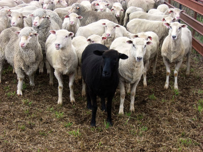 science fiction, sci-fi, short story