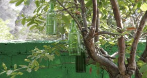 ghost story, Pamela Kinney