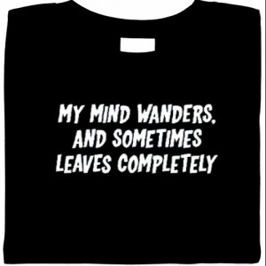 funny shirt, attitude funny shirt