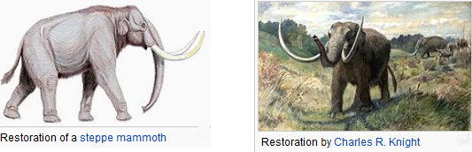 What’s the difference between a mastodon and a mammoth
