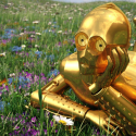 funniest c-p30 quotes, best c3po quotes, c3po star wars