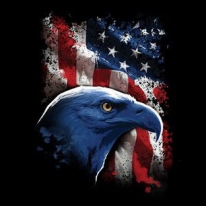 patriotic shirts, bald eagle shirt, american flag shirt